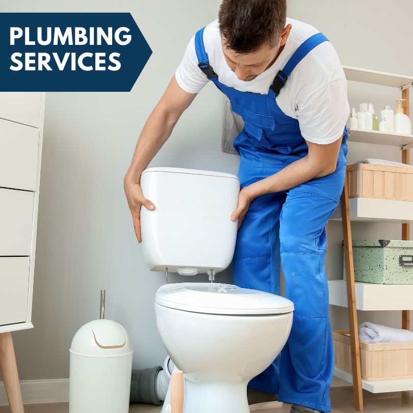 Plumbing Company in Western Springs, IL